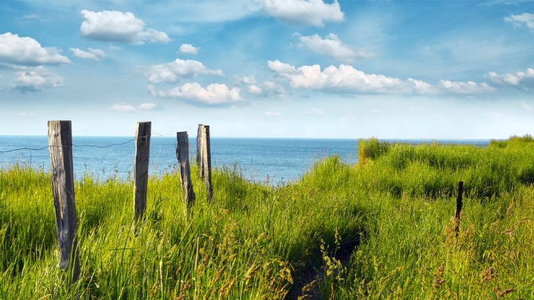 Vermietungsservice Agentur am Meer